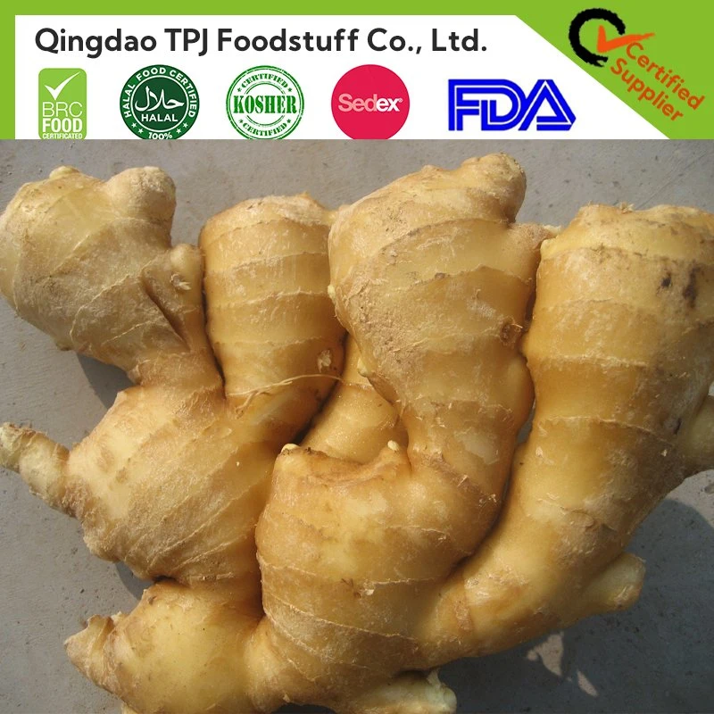 2023 New Harvest Top Laiwu Quality Fat Young Fresh Ginger IQF Frozen Ginger for Hot Selling Vegetable