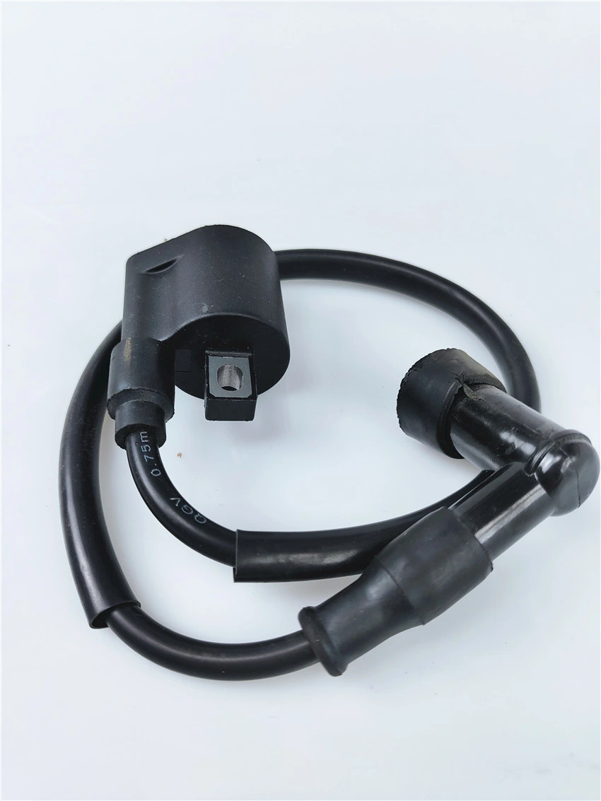 High quality/High cost performance 125cc Motorcycle Spare Parts Motorcycle Ignition Coil for Cg125