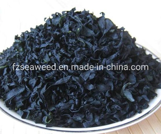 Venta caliente Corea Food Grade de algas marinas algas wakame ensalada