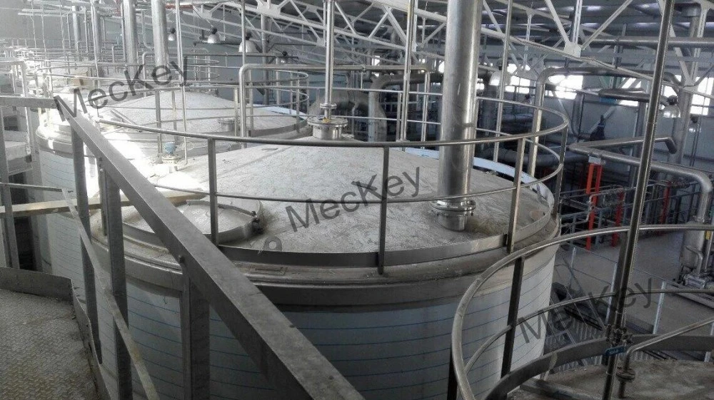 Meckey Latest Low Investment Fully Automatic Turnkey 98% Lysine Production Line Machinery