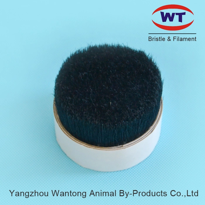 High quality/High cost performance  Chungking Natural Black Pig Bristles for Brushes