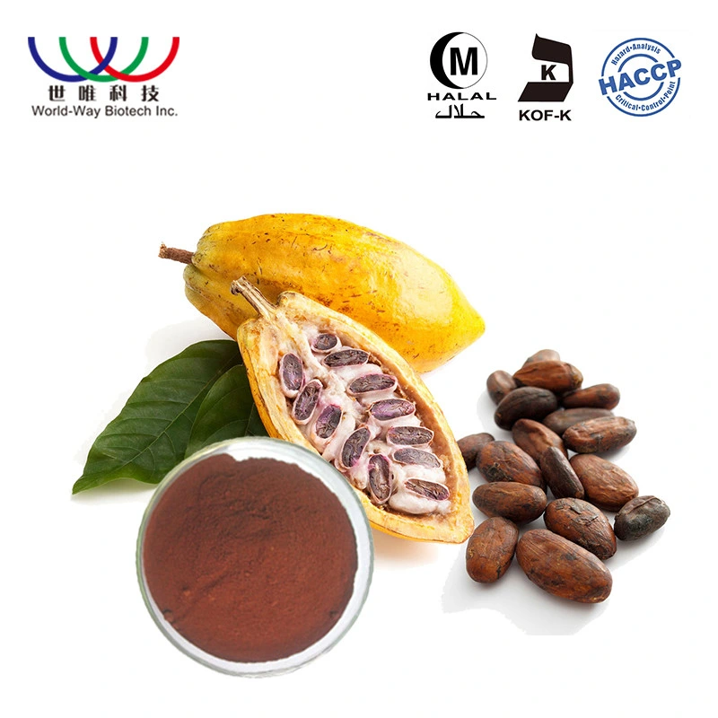 Professional Factory Supply Pure Natural Plant Extract 10% 20% Theobromine Cocoa Extract Powder