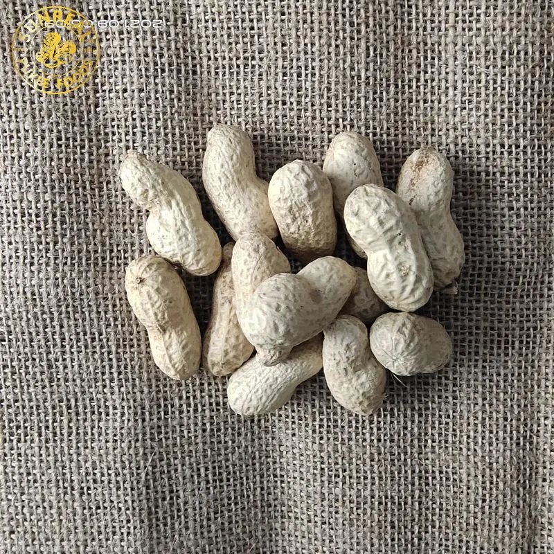 Virginia Peanuts /Raw Peanut in Shell /China / New Crop All Size All Breeds