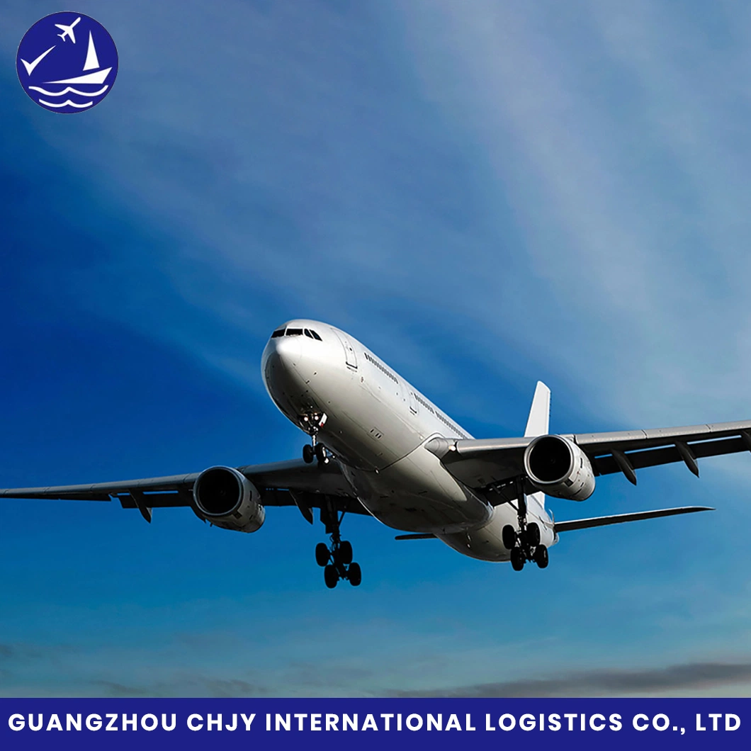 Air FCL/LCL Sea Shipment Shipping From China to Mauritius Port Louis Professional Logistics Freight Forwarder