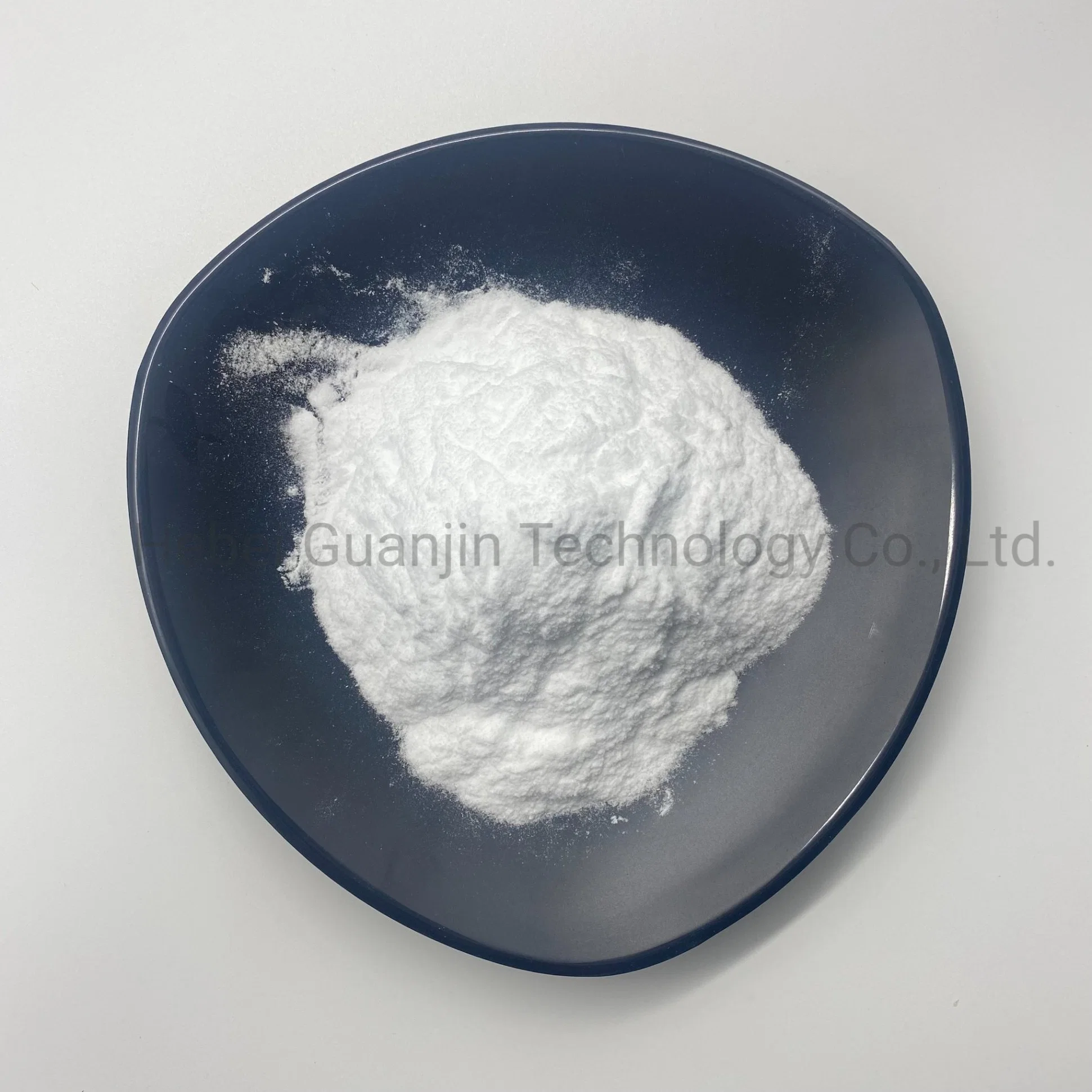 CAS 13717-00-5 Made in China High Purity Magnesium Carbonate