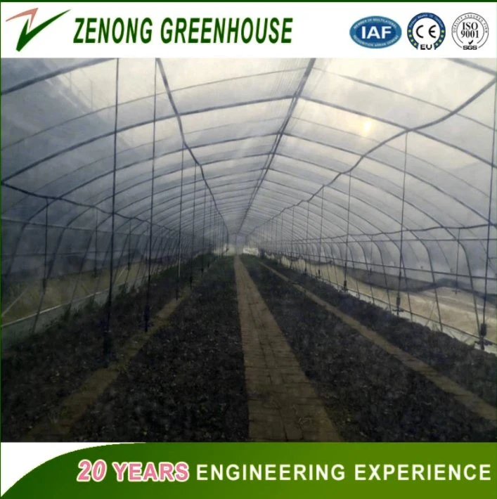 Strong Structure Agriculture Durable Film Greenhouse for Cultivation/Exhibition/Research/Restaurant/Planting