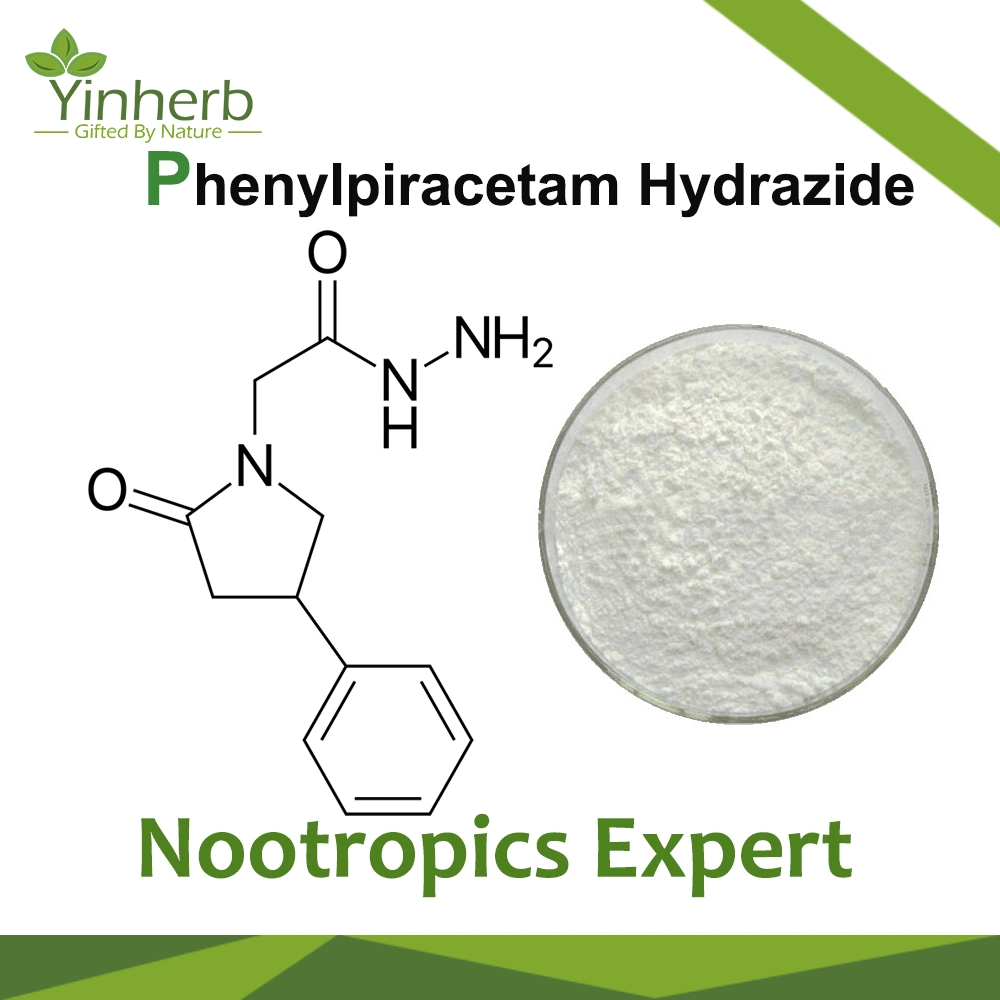 Hot Wholesale 99% Purity CAS 77472-71-0 Phenylpiracetam Hydrazide Raw Powder