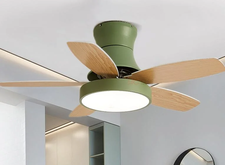 36/42/48 "Nordic Simple Fan Light Remote Control Ceiling Fan LED Light Source Integrated Pendant Fan Lamp