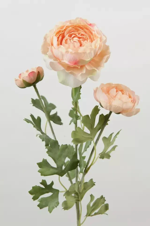 Hot Sale Wedding Silk Flower 3 Heads Ranunculus Stem Artificial Flower Tea Roses for Home Wedding Centerpiece Decoration