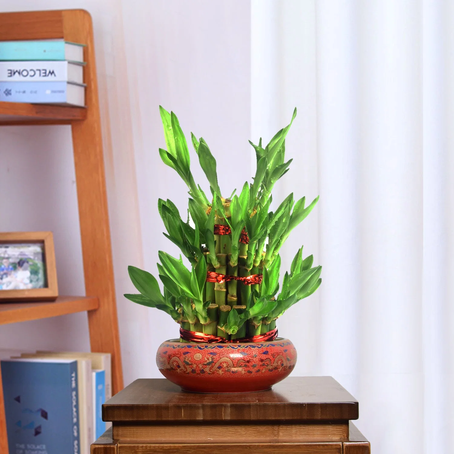 Зеленый S3 в корпусе Tower Dracaena Sanderiana Lucky Bamboo Завод детских