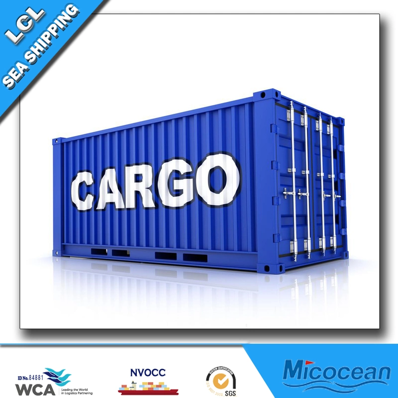 Professional Sea Shipping LCL Service, From China to Umm Qasar, Iraq