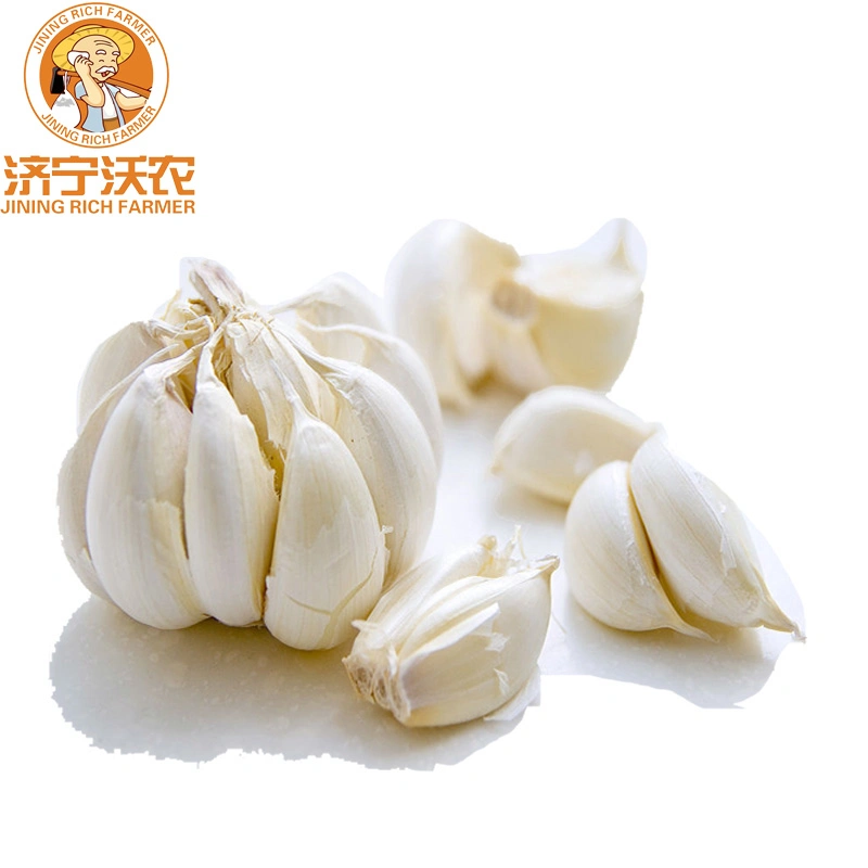 New Season China Fresh White Garlic