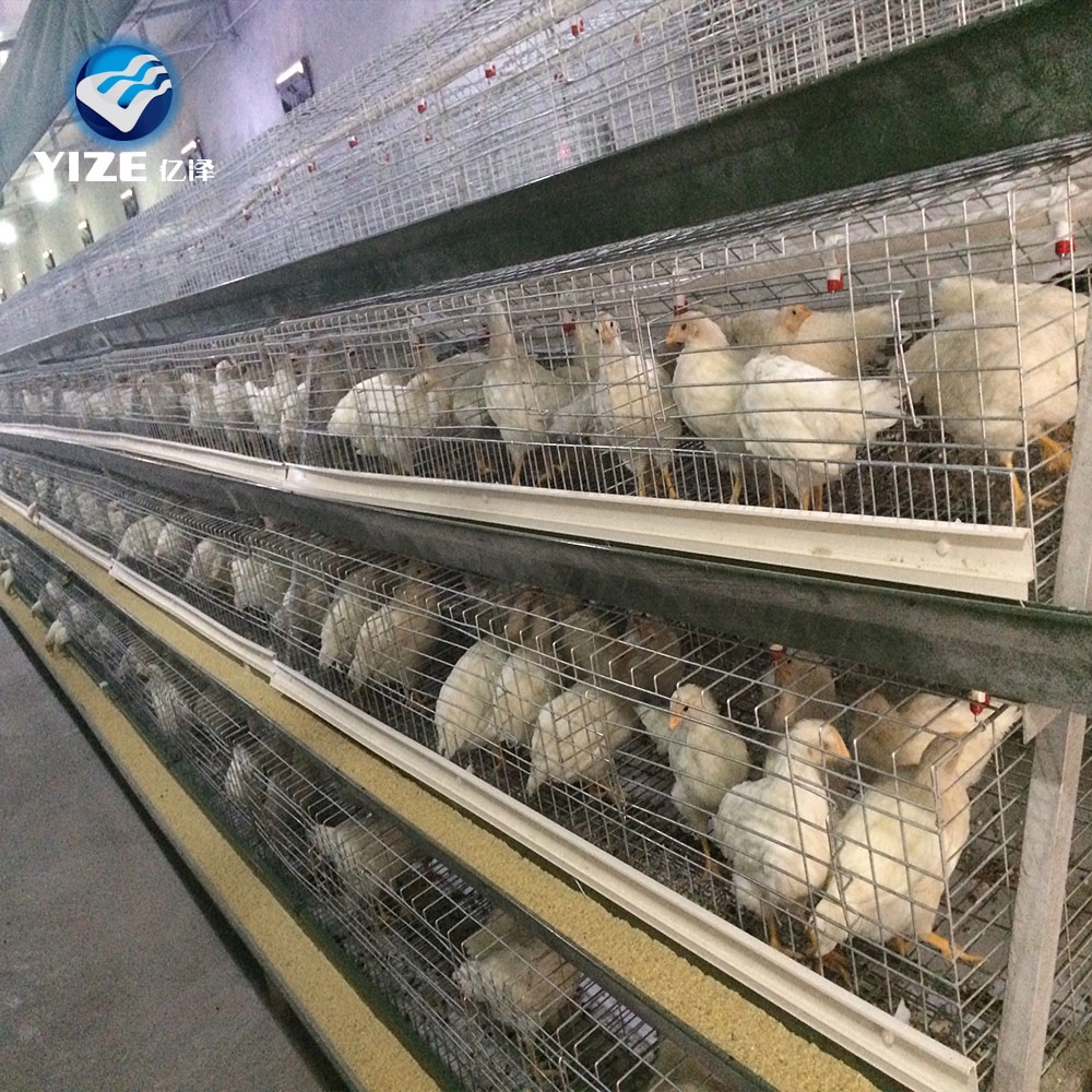 Good Selling Good Quality Poultry Farm Equipment in Sri Lanka