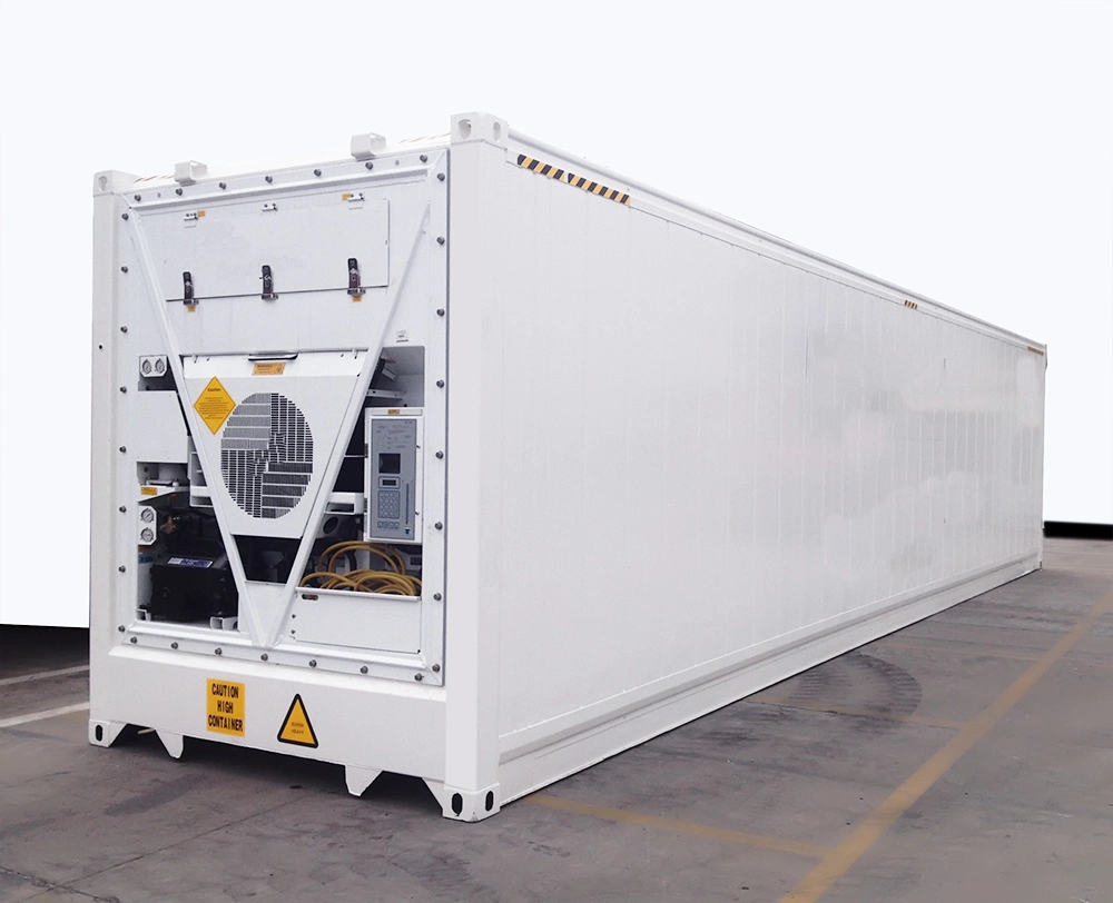 Ultra Reefer Container for Tuna Transport Minus 60 Centi Degree