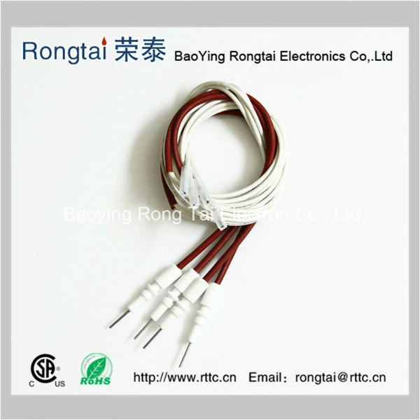 Ceramic Electrode for Gas Ignition