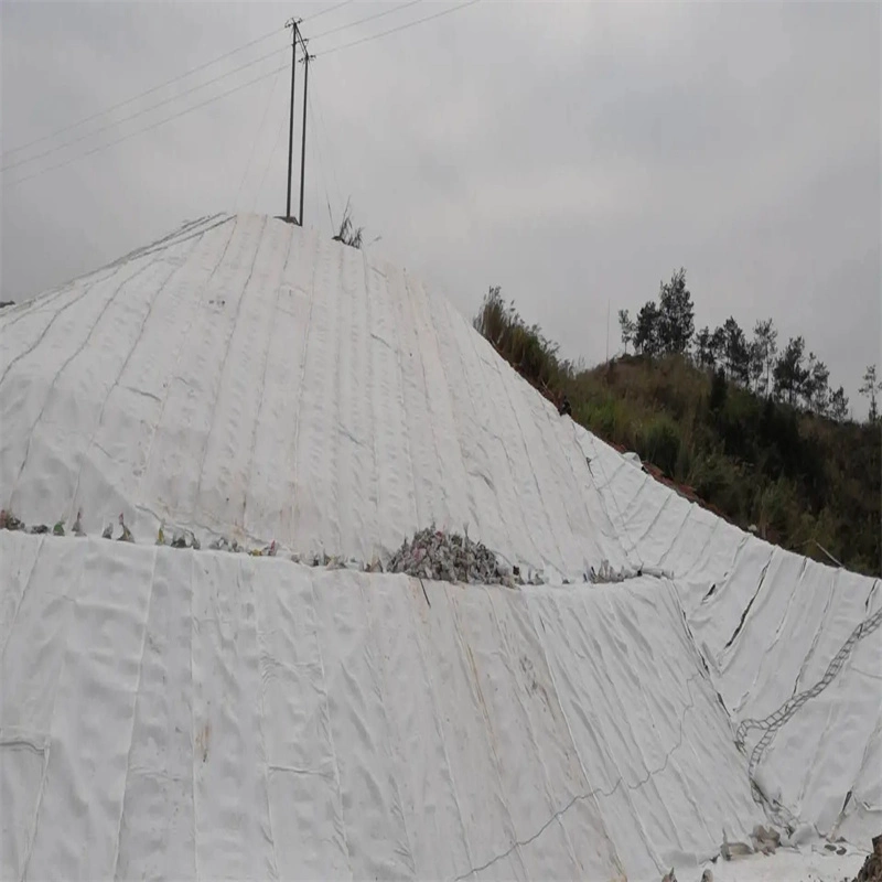 Landfill Used 3D Geocomposite Drainage Net with Double Side Nonwoven Geotextile