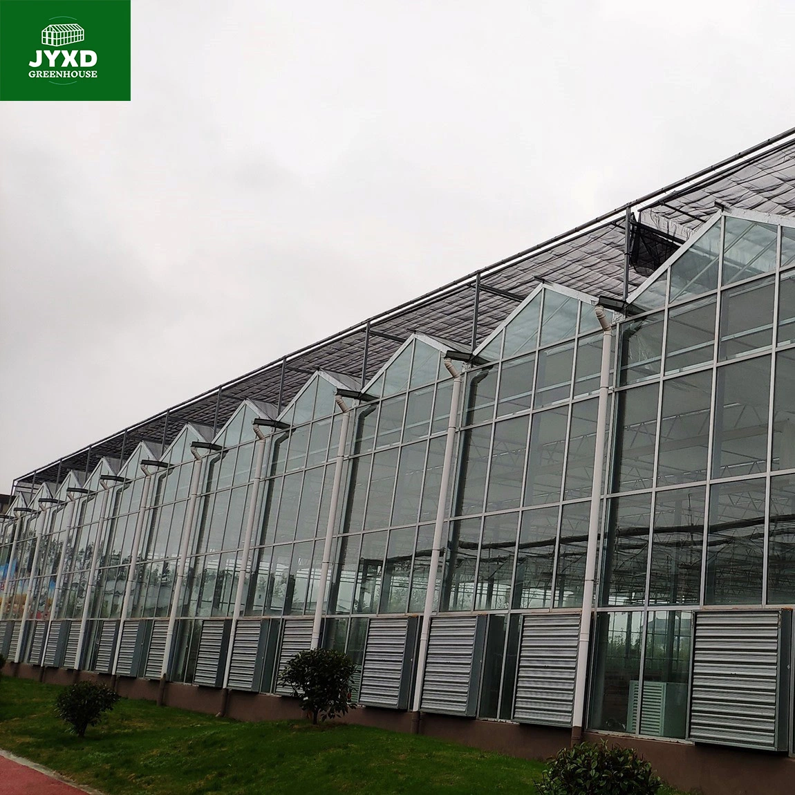 La agricultura moderna Multi-Span de efecto invernadero de cristal personalizado con el sistema de cultivo hidropónico sistema de riego de hortalizas Frutas Flores lechuga