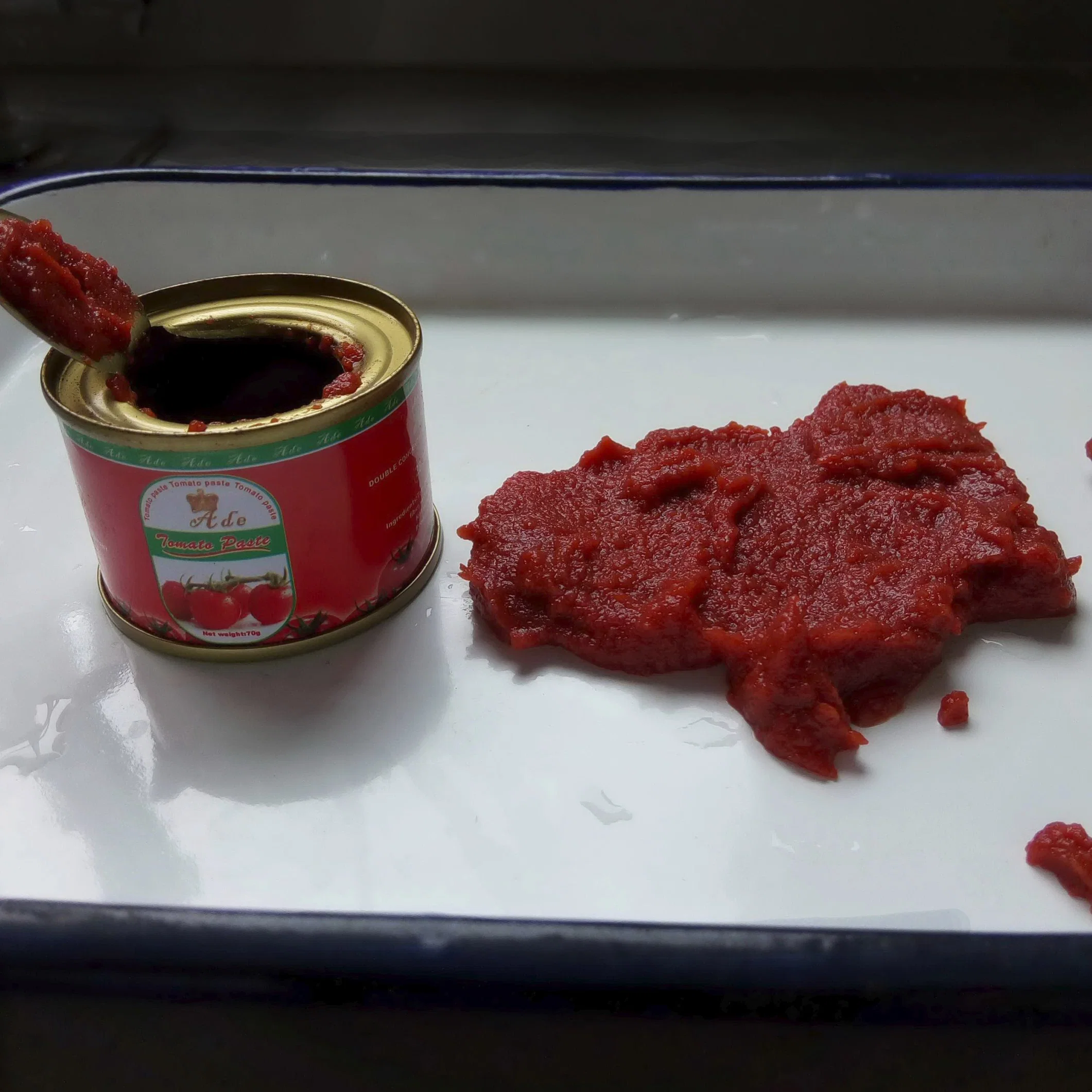 70g Easy Open Canned Tomato Paste with Excllent Quality