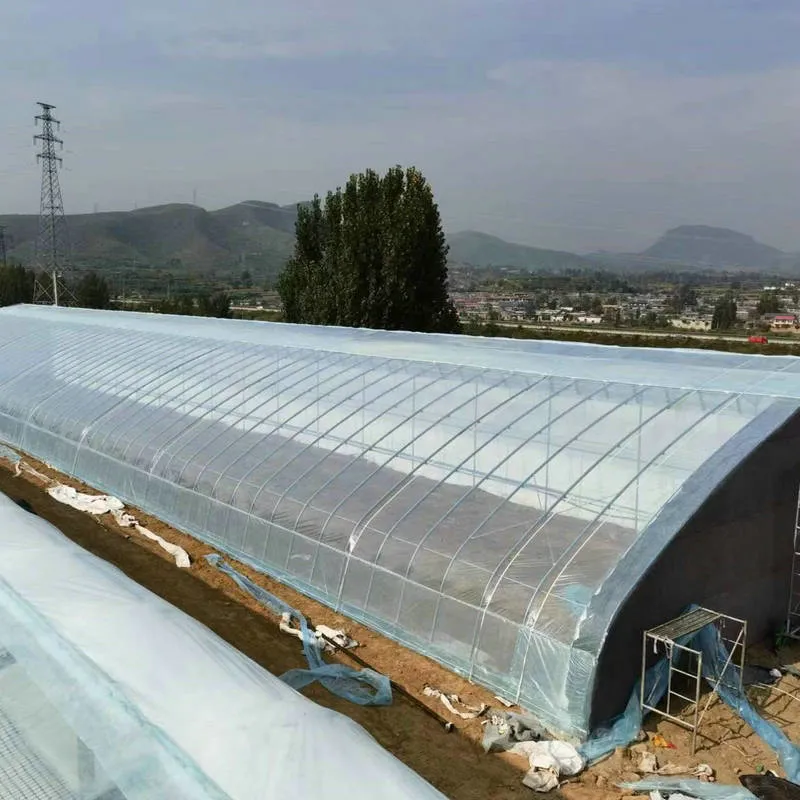 Cold Area Film Solar Air Wall Greenhouse Active Heat Storage and Release