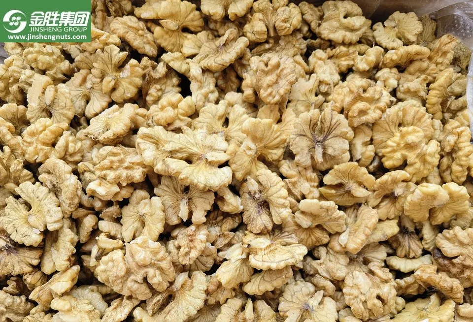 Origin Exports High-Quality Peeled Walnuts Naturally Picked Nutritious Nuts