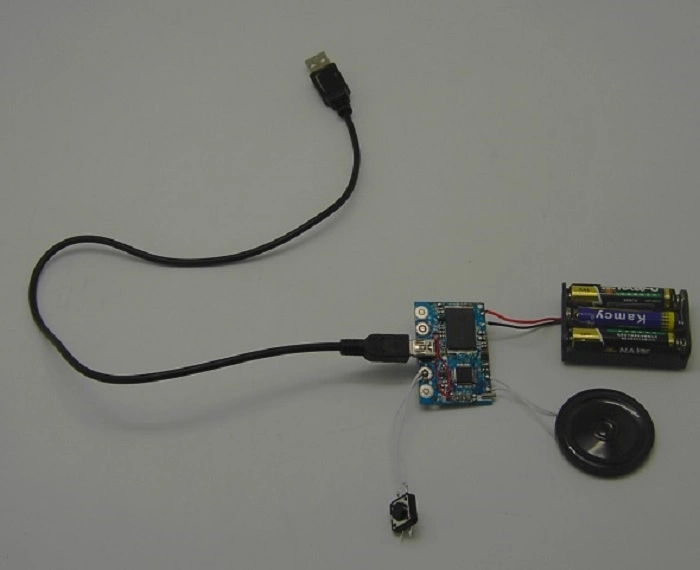 USB Sound Module, USB Recordable Module, Voice Chip