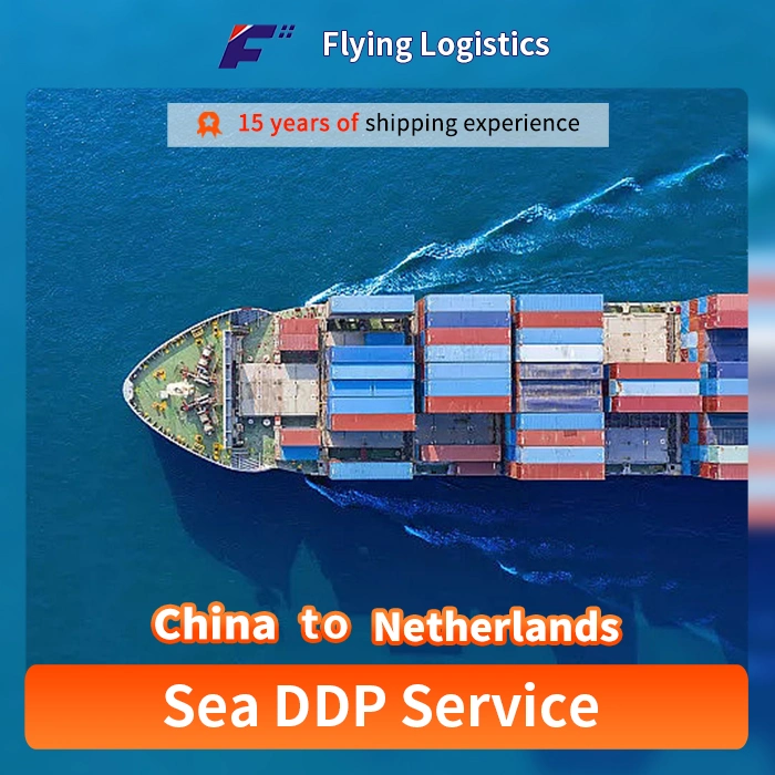 Professional Cheapest Fast Sea Freight Agent Logistics Service From China to Netherlands