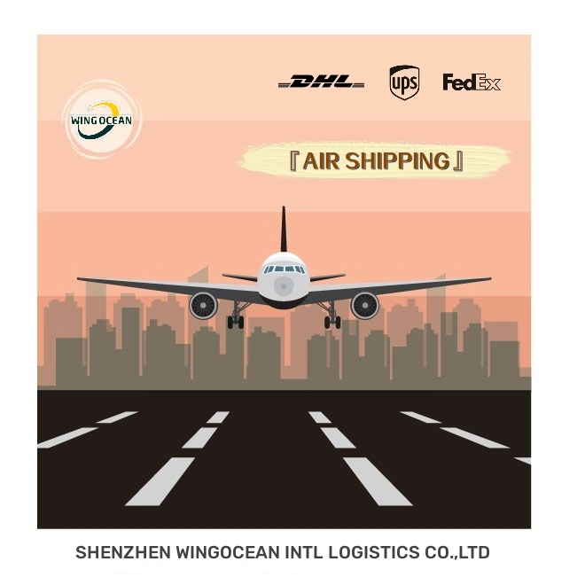 Air and Sea Freight Service China to Europe/USA/Middle East/Southeastern Asia/Canada/Africa