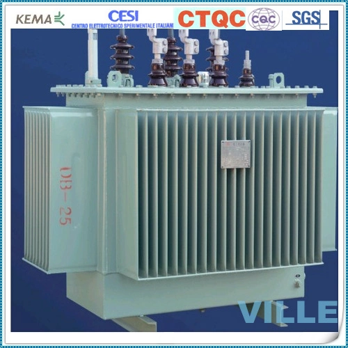 S11-M-800/20 0.8mva 20kv Multi-Function High quality/High cost performance  Distribution Transformer