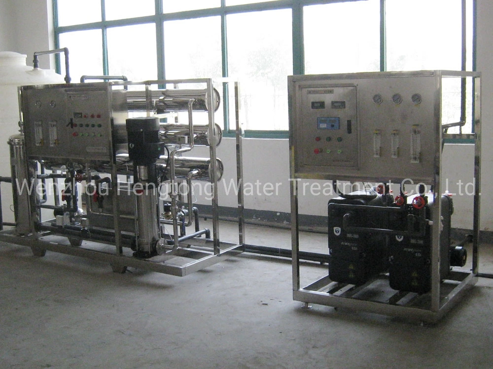SS316 Sanitary High Purified Water Equipment for Pharmaceutical and Food