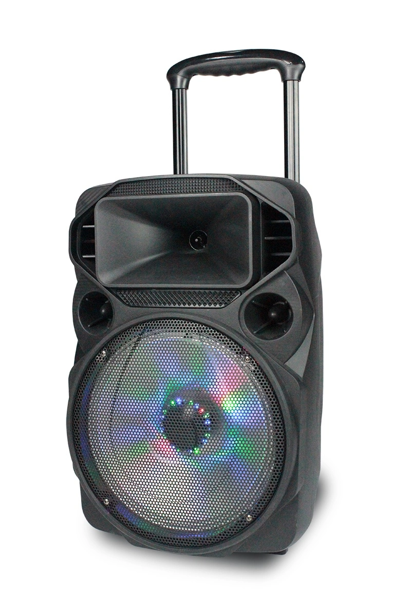 Professional 18 Inch Amplifier Powered DJ Karaoke Loud Sound Box FM Bluetooth Audio Speaker