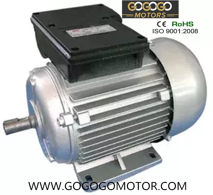 CE Approved Single Phase Induction Motor AC Motor Electric Motor (YC YL)