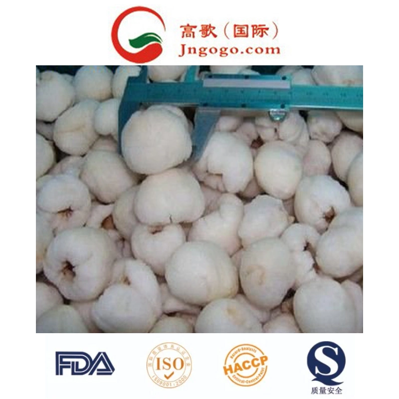 IQF Peeled Lychees, Frozen Peeled Lychees, IQF Lychee Meat, IQF Lychees Flesh, Frozen Lychee Flesh, IQF Peeled Litchi and Frozen Fruits