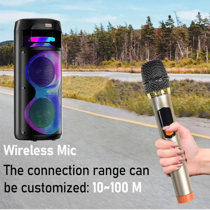 Latest Designs Dual 8 Inch Stereo Rechargeable Wireless Speakers