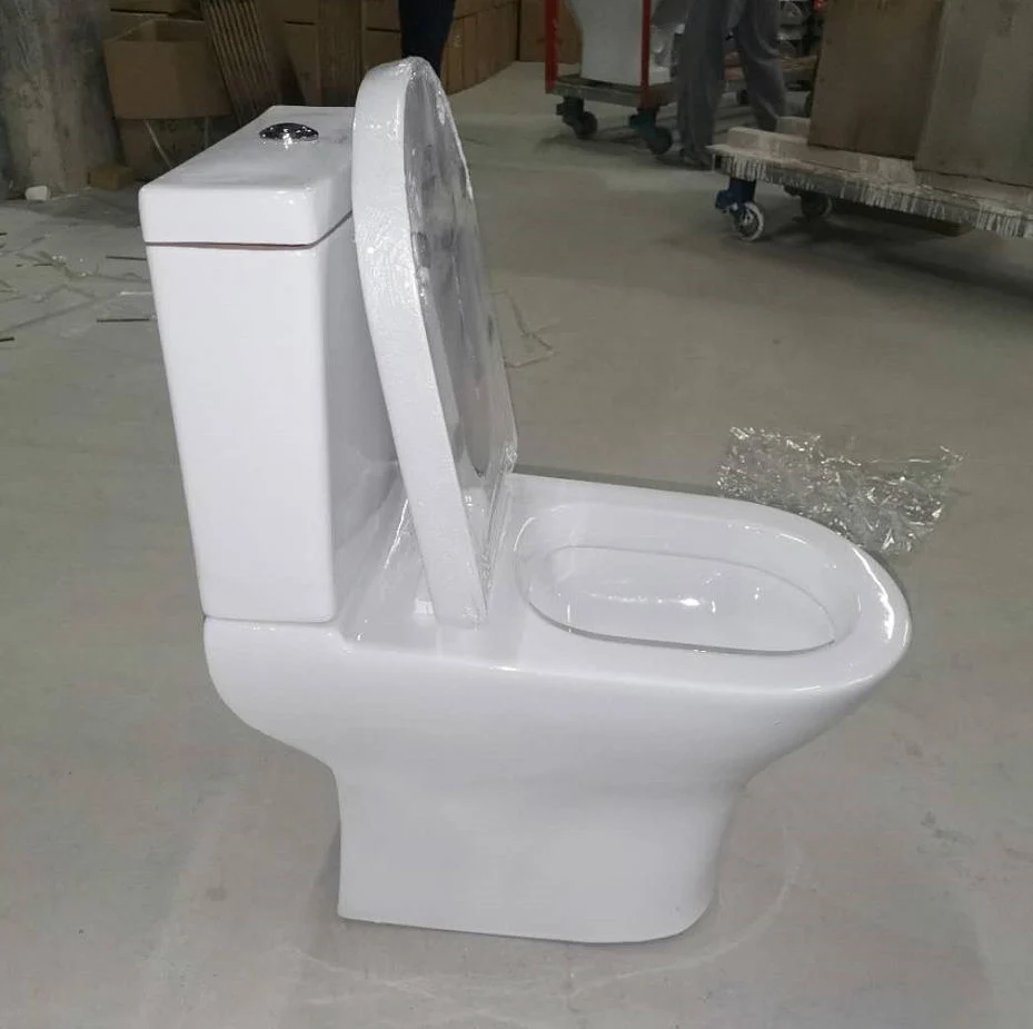 Sairi Floor Mounted Dual-Flush PP Soft Close Cover Ceramic Chinese Sanitary Ware Toilet