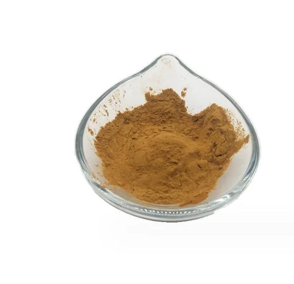 High-Purity Plant Extract Powder Raspberry Extract