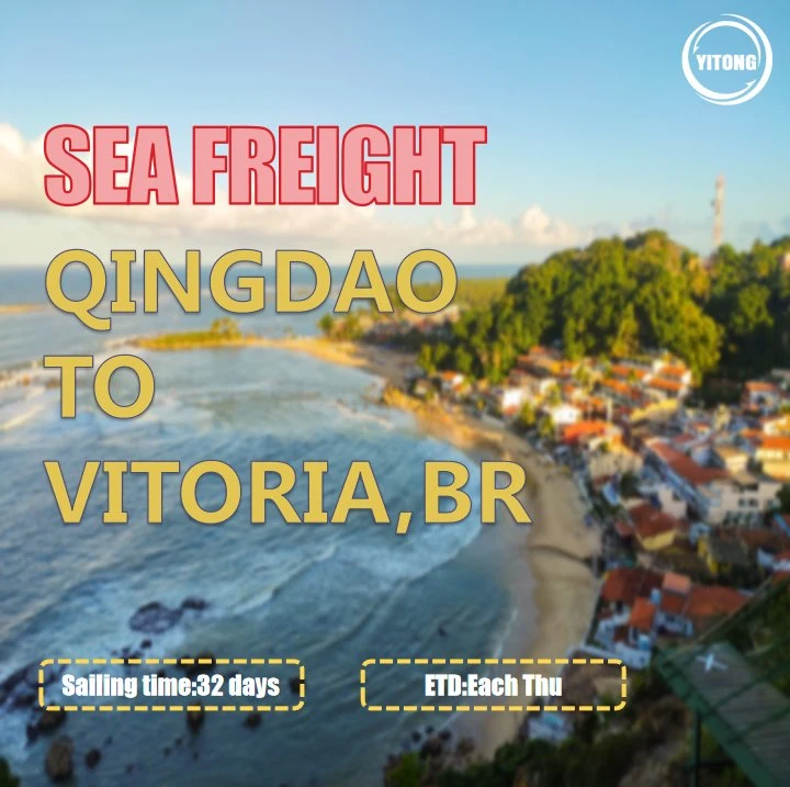 Shenzhen Cargo Ship Price Shipping to Vitoria Brazil