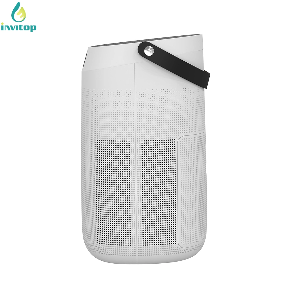 Long Time Standby Household Ozone Air Purifier with 2/4/8h Timer