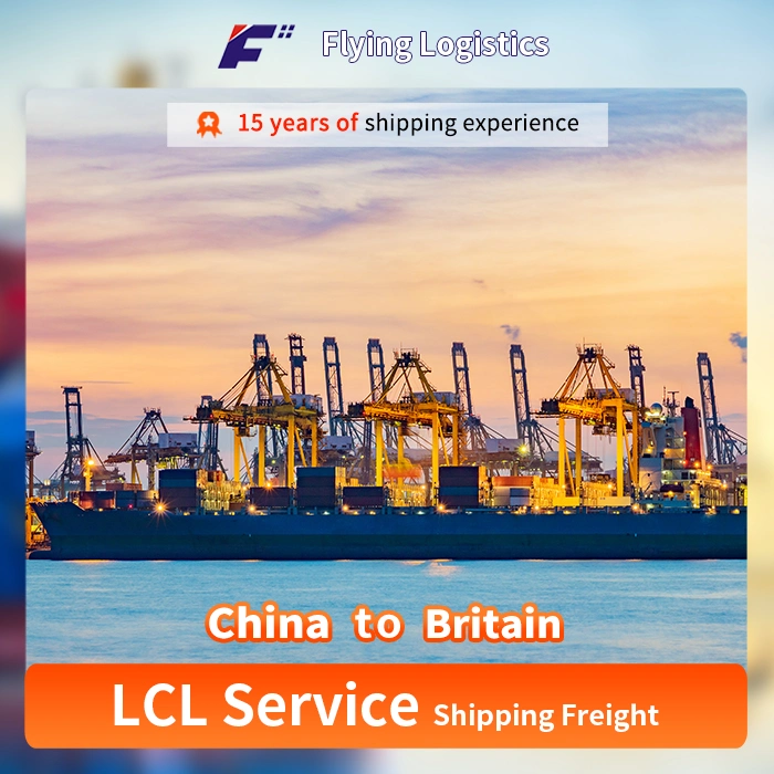 Sea Freight LCL / Shipping Service/ Logistics / Agent / Shipping Forwarder / LCL From China to Britain