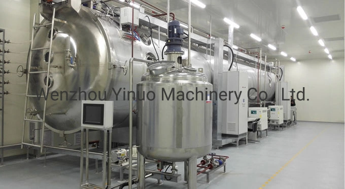 Wheat Extract Vegetable Protein High Vacuum Continuous Belt Drying Machine for Powder