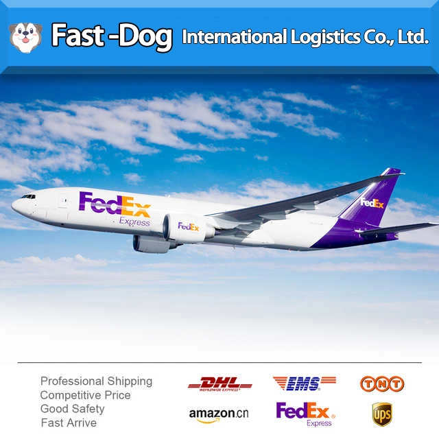 Compañía de Transporte aéreo desde China a Beirut Líbano/Perú/Egipto /DHL/UPS/FedEx/TNT Express Agente de entrega en Shenzhen