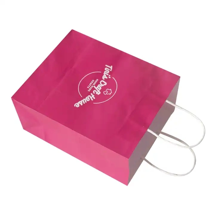 Custom Printed Shopping Paper Gift Bag Food Takeaway Packaging Paper Bag Promotion Carrier Kraft Twisted Handle Paper Bag