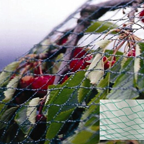 Hot Sale UV Treated Cheap Agricultural Shade Net for Bird Fencing