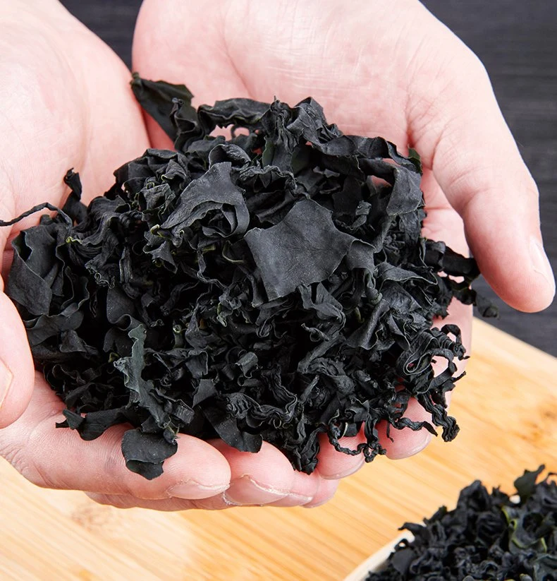 Wakame الأعشاب البحرية الجافة الطعام النباتي طبخ حساء الطرف صحية طبيعية مأكولات بحرية نباتية