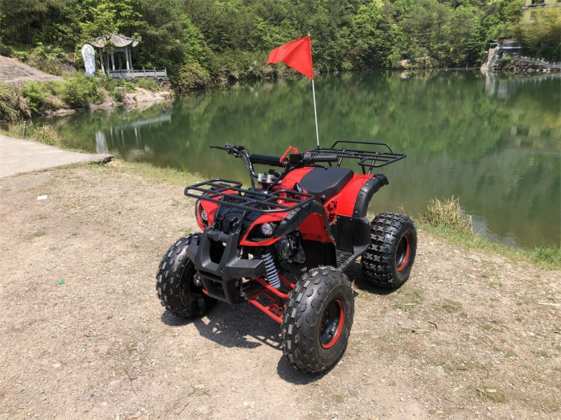 China moto-quatro adultos UTV Electric All Terrain veículo barato venda 125cc Kid ATV