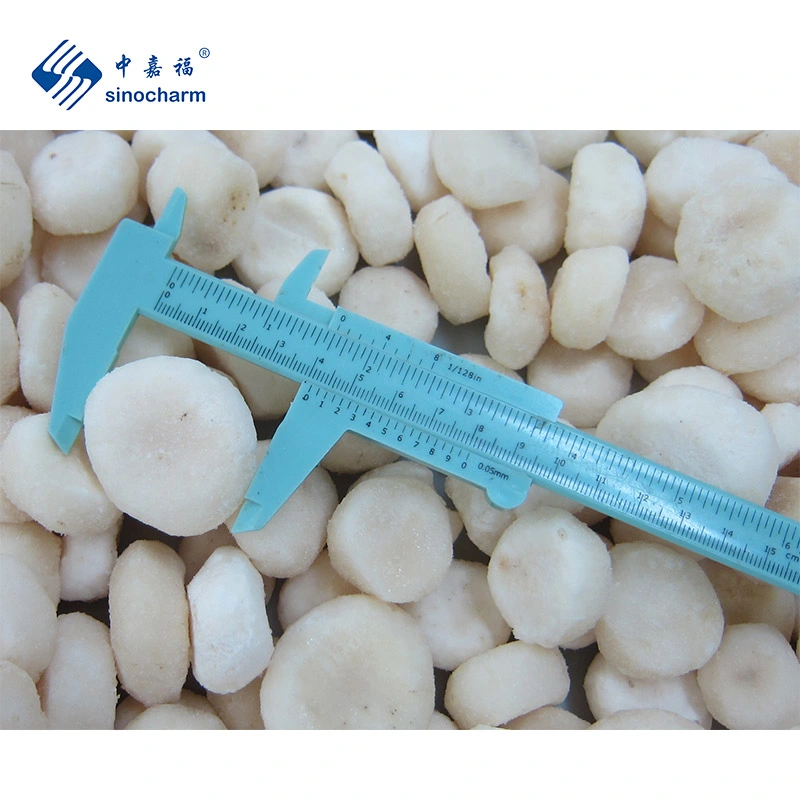 Sinocharm Brc a Approved IQF Quantity Fresh Vegetables Dia 3cm Wholesale/Supplier Price Frozen Whole Water Chestnut