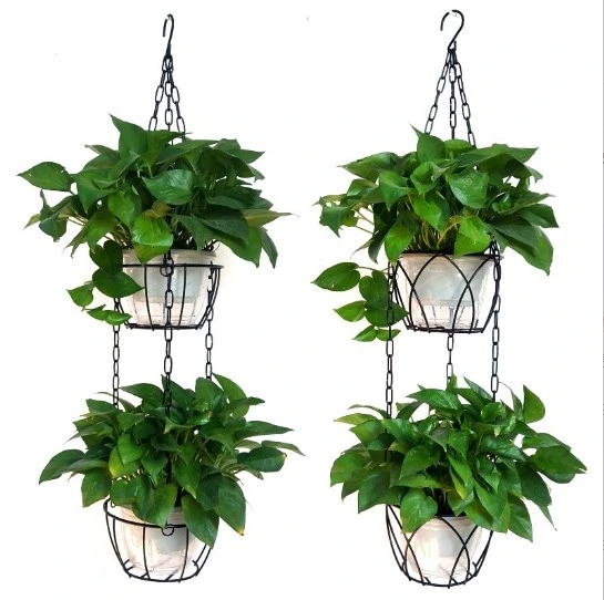 Amazon Simple Iron Hanging Basket Pot Hanging Frame