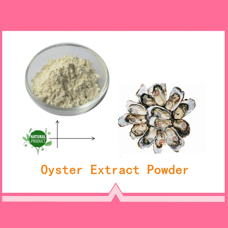 Fabrik Versorgung Pure Natural Oyster Extrakt Pulver mit besten Preis
