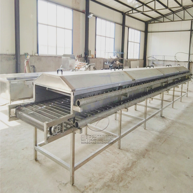 304 Stainless Steel High Pressure Industrial Vegetable and Fruit Cleaning Machine