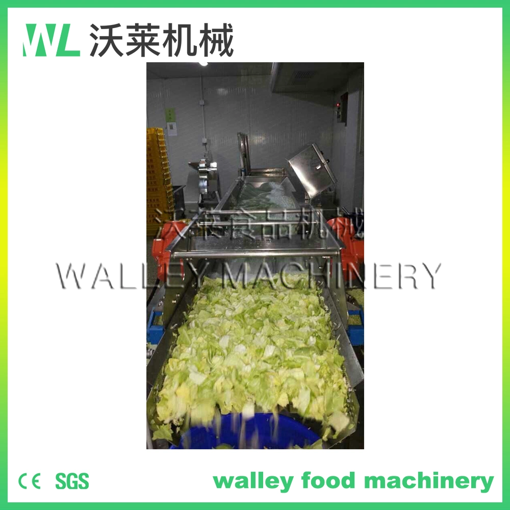 High Rebuy Short Small Vegetable and Fruit Washer Vortex