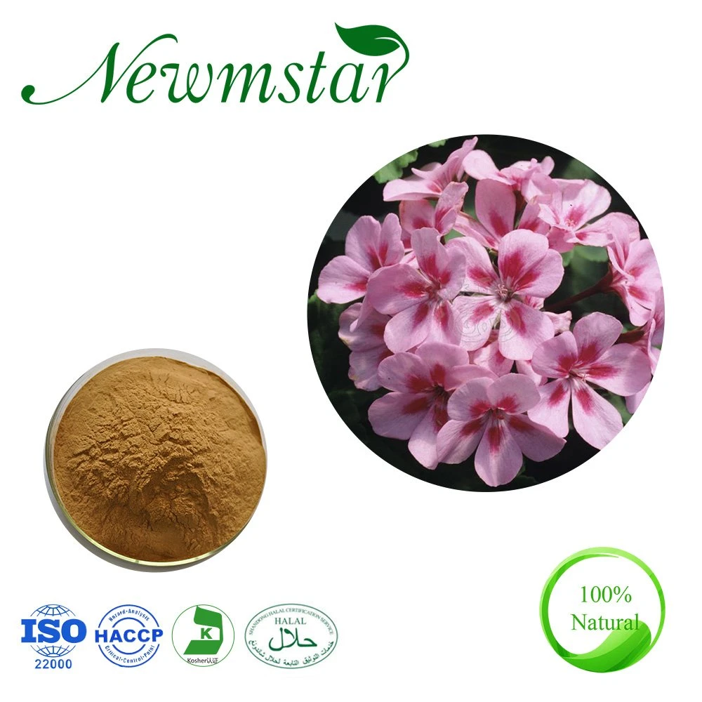 Chinese Herbal Extract Pelargonium Sidoides Root Extract /African Geranium Extract